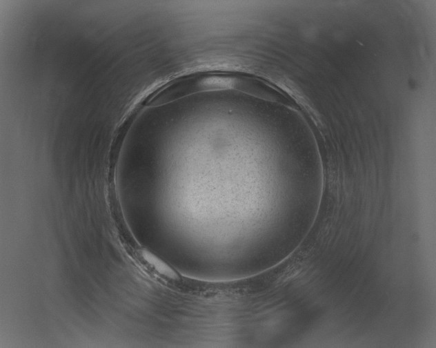 X0000054400434200508011326