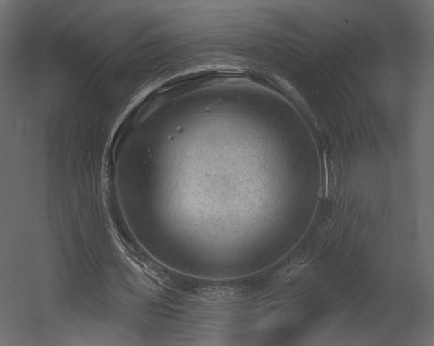 X0000054400435200508011326