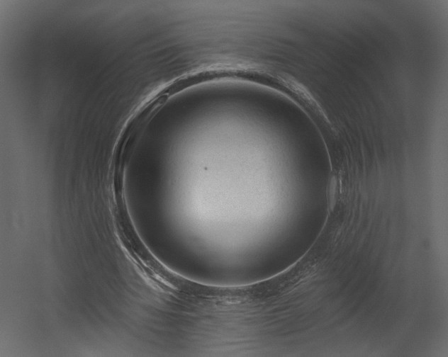 X0000054400436200508011326