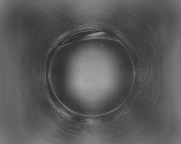 X0000054400442200508011327