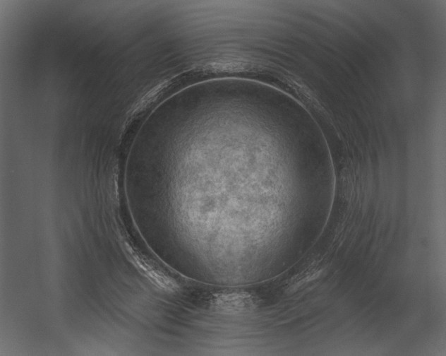 X0000054400446200508011327