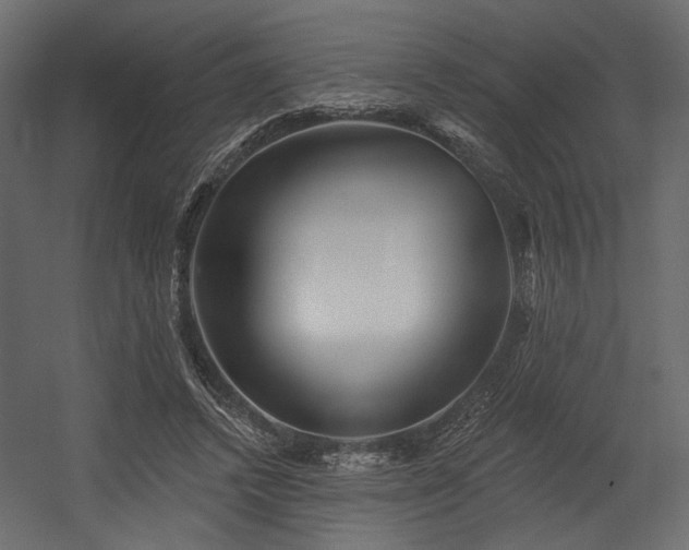 X0000054400448200508011327