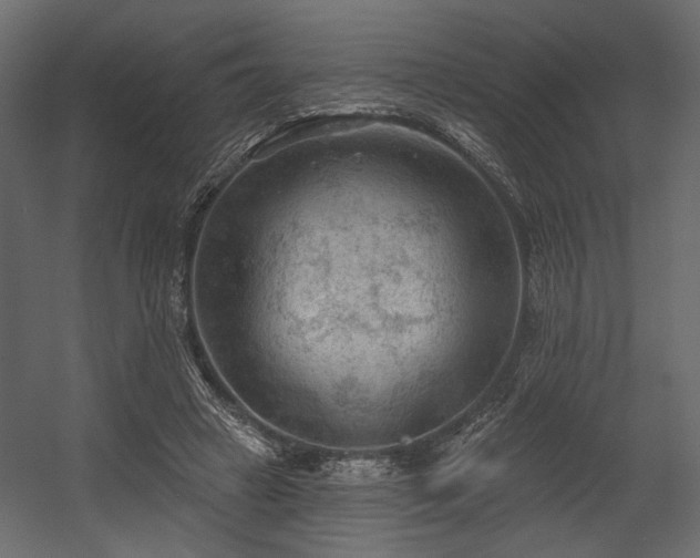 X0000054400449200508011327