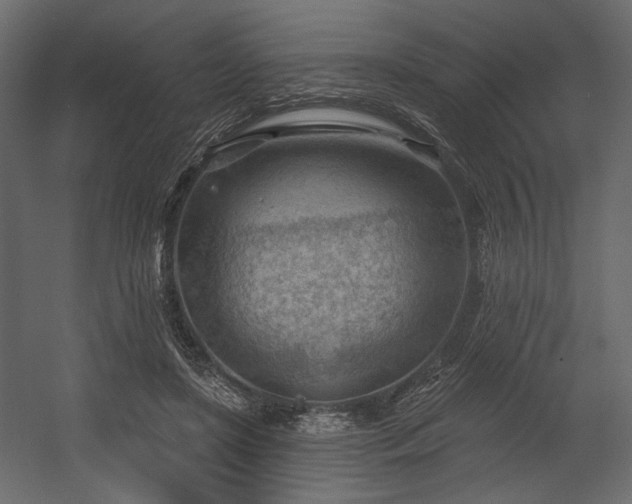 X0000054400451200508011327