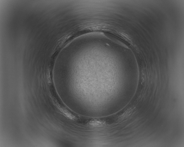 X0000054400453200508011327