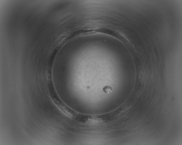 X0000054400455200508011327