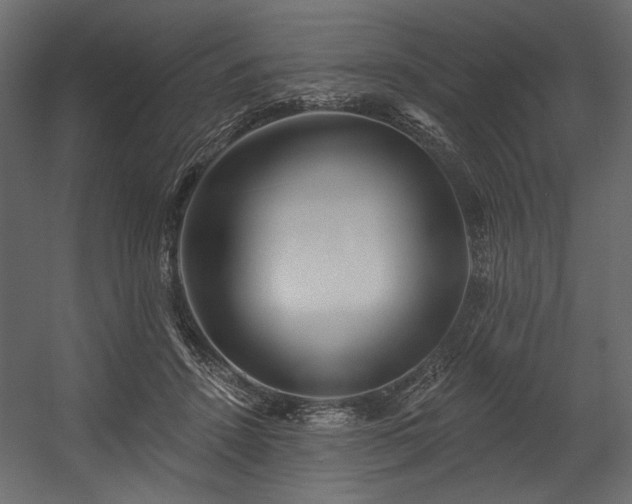 X0000054400456200508011327