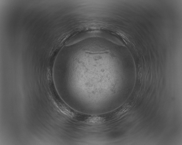 X0000054400459200508011327