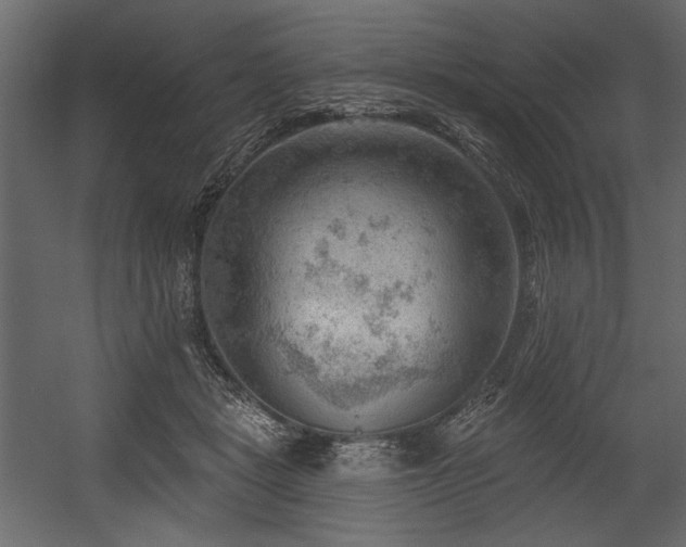 X0000054400461200508011327