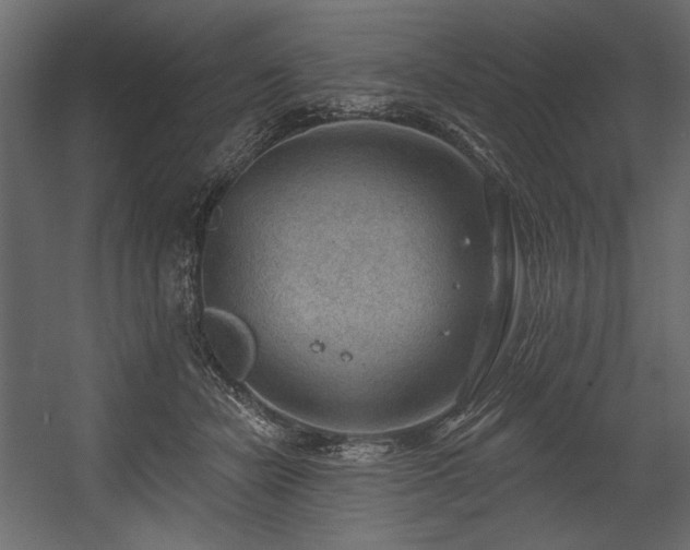 X0000054400462200508011327