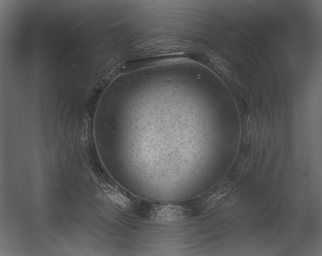 X0000054400463200508011327