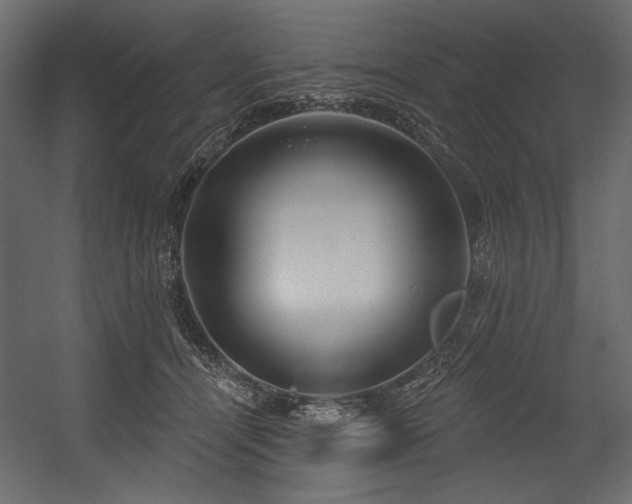 X0000054400464200508011327