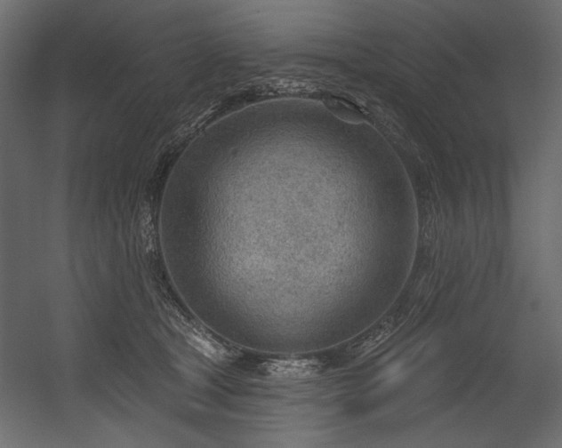 X0000054400465200508011327