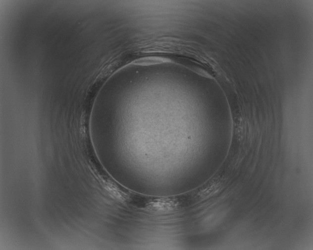 X0000054400466200508011327