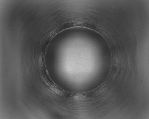 X0000054400468200508011327