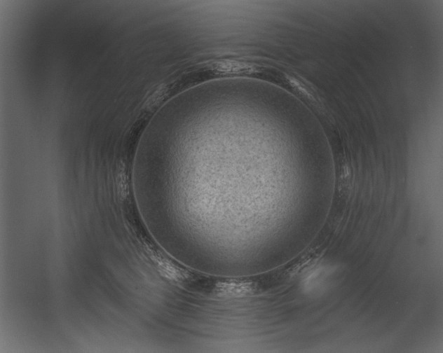 X0000054400469200508011327