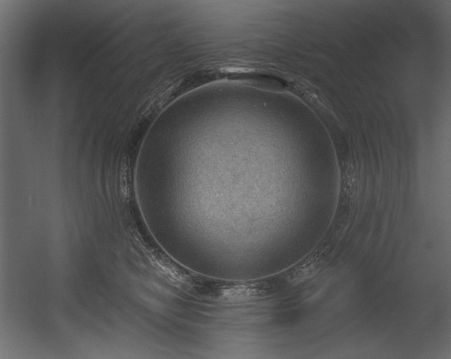 X0000054400470200508011327