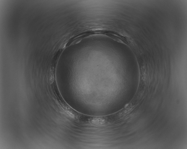 X0000054400471200508011327