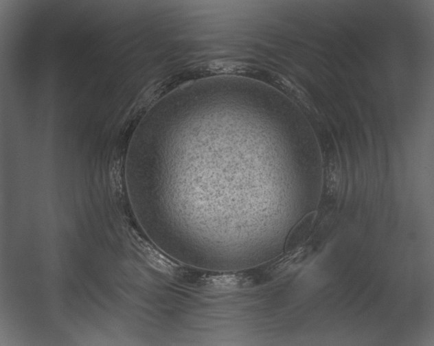 X0000054400473200508011327