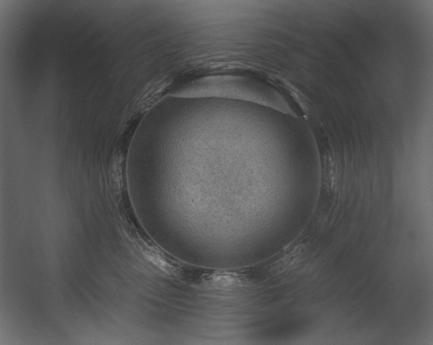 X0000054400475200508011327