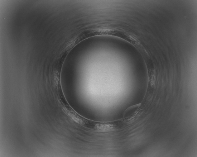 X0000054400476200508011327