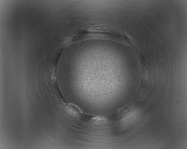 X0000054400477200508011327