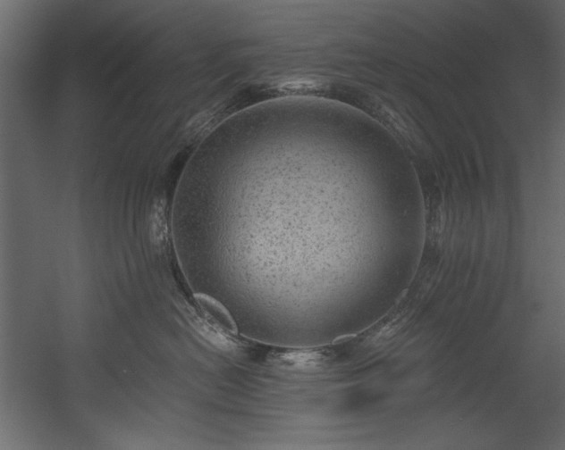 X0000054400478200508011327