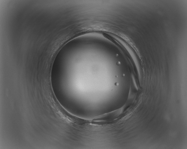 X0000054400481200508011326