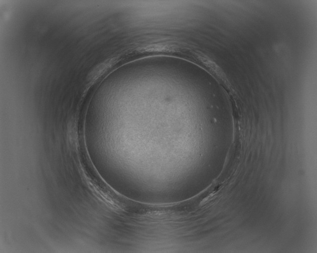 X0000054400482200508011326