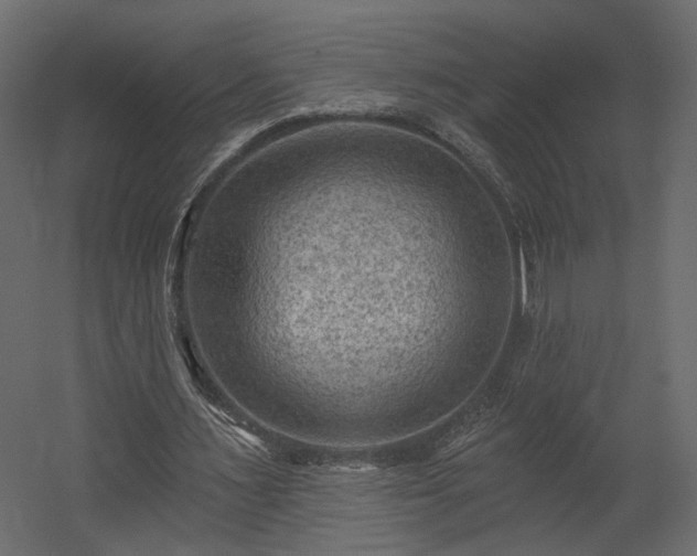 X0000054400483200508011326