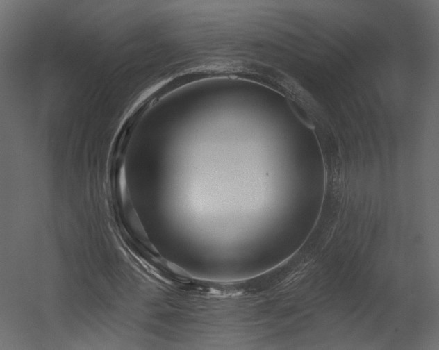 X0000054400484200508011326