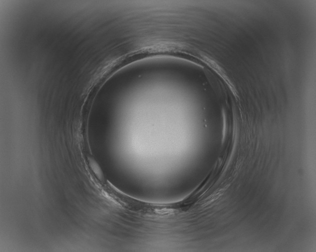 X0000054400485200508011326