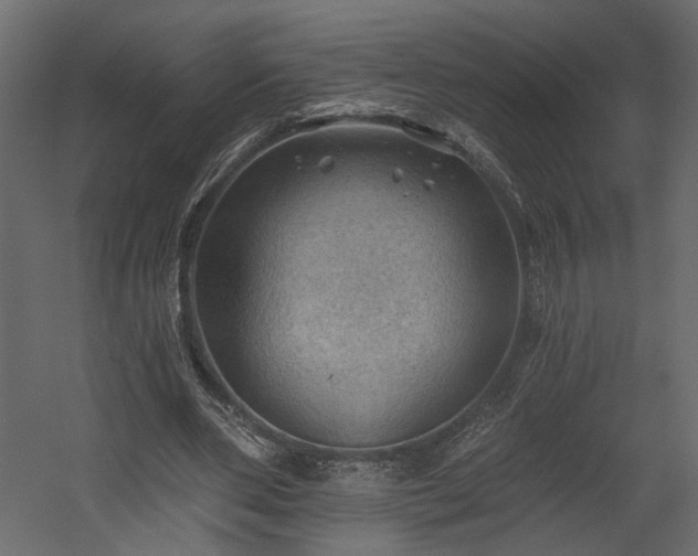 X0000054400486200508011326