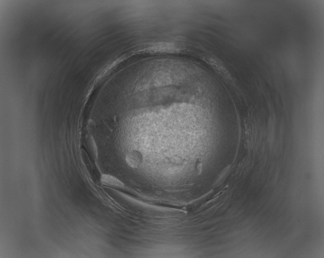 X0000054400487200508011326