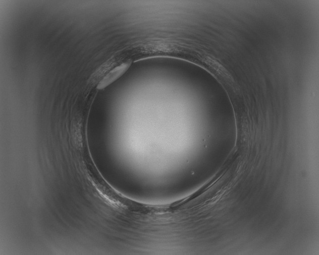 X0000054400489200508011326