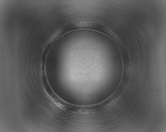 X0000054400490200508011326