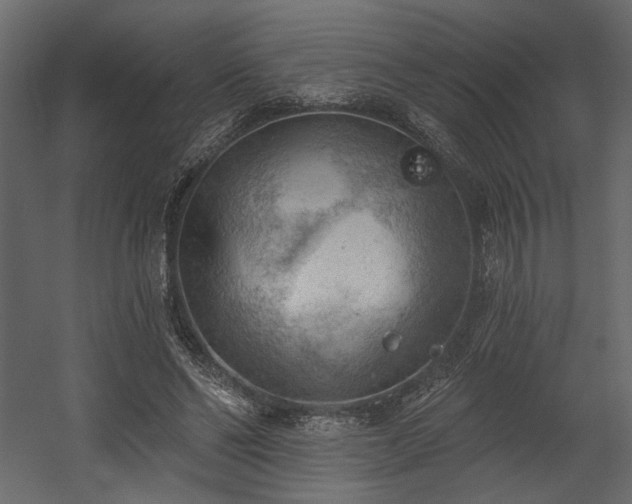 X0000054400494200508011326