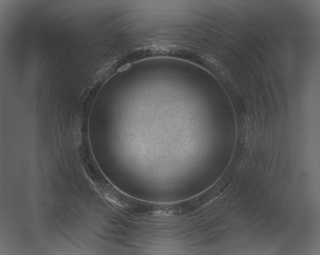 X0000054400496200508011326