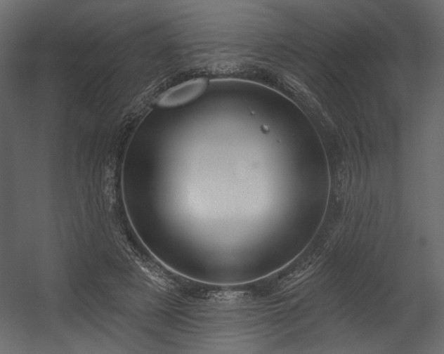 X0000054400497200508011326