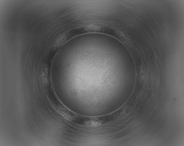 X0000054400498200508011326