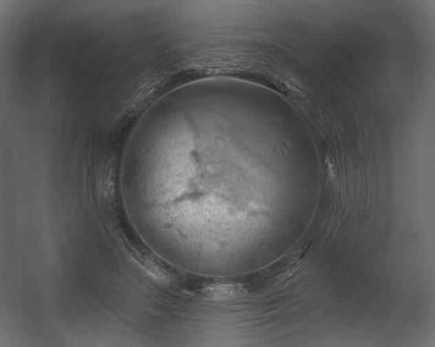 X0000054400499200508011326