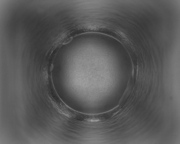 X0000054400500200508011326