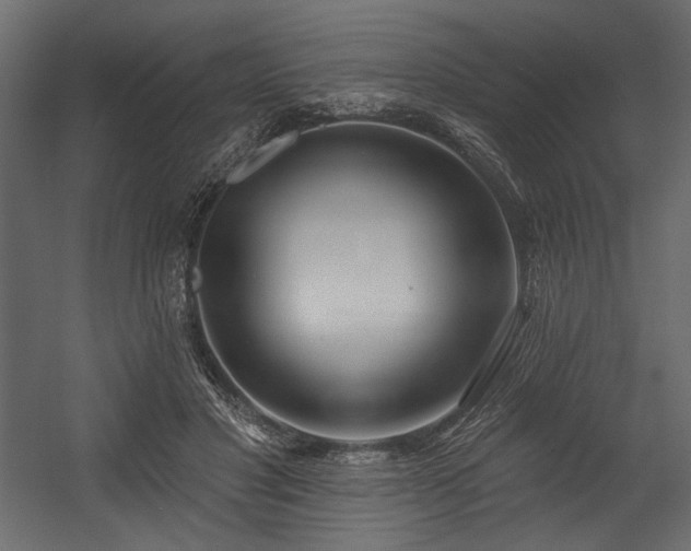 X0000054400501200508011326