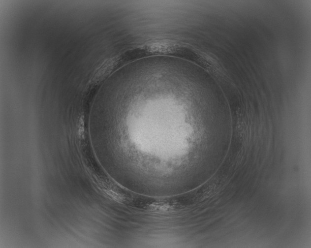 X0000054400502200508011326