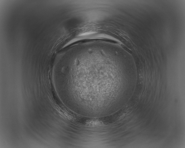 X0000054400503200508011326