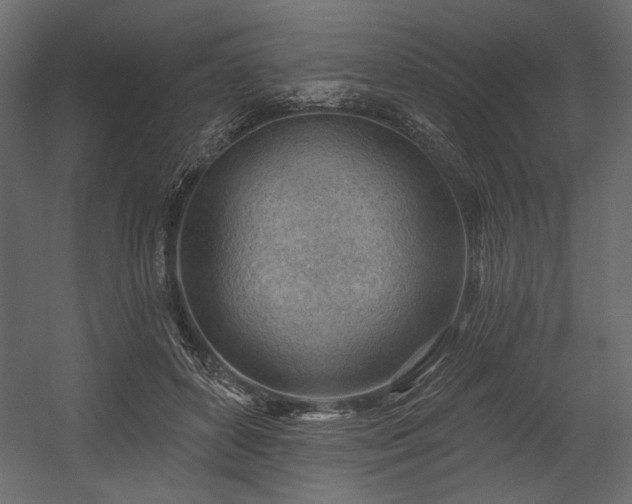 X0000054400504200508011326