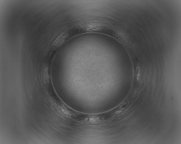 X0000054400506200508011326