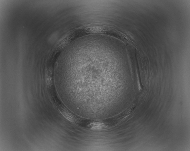 X0000054400507200508011326