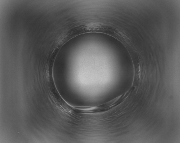 X0000054400508200508011326