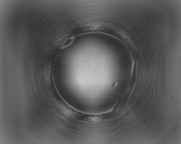 X0000054400509200508011326